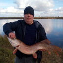 ���������� ������, ���� ������� ����, 43 ����, ������������ ��� ������, ����� � ���������, c�������� ���������