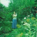 ���������� �����, ���� ������� ��������, 99 ���, ������������ ��� ���������