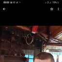 ���������� ������, ���� ������� Sinisa, 38 ���, ������������ ��� ������, ����� � ���������, c�������� ���������