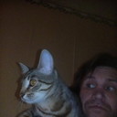 ���������� �����-���������, ���� ������� �����, 53 ����, ������������ ��� ����� � ���������, c�������� ���������