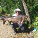 ���������� ���������, ���� ������� ������, 65 ���, ������������ ��� ����� � ���������, c�������� ���������