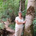   ,   , 65 ,  