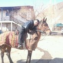  -,   , 40 ,   ,   , c , 