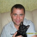  -,   , 43 ,   