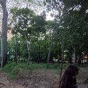 ���������� Pamplona, ���� ������� Balentina, 19 ���, ������������ ��� ������, ����� � ���������