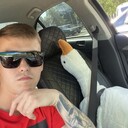 ���������� ���, ���� ������� ������, 29 ���, ������������ ��� ������, ����� � ���������, c�������� ���������, ���������