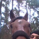 ���������� ������, ���� ������� ����, 37 ���, ������������ ��� ����� � ���������, c�������� ���������