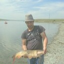 ���������� ������, ���� ������� ������, 37 ���, ������������ ��� ������, ����� � ���������, c�������� ���������, ���������