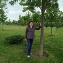  ,   , 70 ,     , c , 