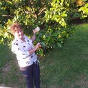 ���������� �����, ���� ������� ����, 54 ����, ������������ ��� ������, ����� � ���������