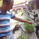  ,   , 46 ,   ,   , c 