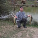 ���������� �����������, ���� ������� ���������, 36 ���, ������������ ��� ������, ����� � ���������, c�������� ���������