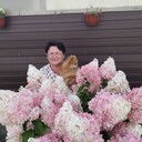  ,   , 49 ,     , c 