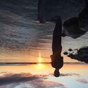 ���������� ���������, ���� ������� �������, 39 ���, ������������ ��� c�������� ���������