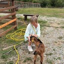 ���������� �����������, ���� ������� �����, 57 ���, ������������ ��� ������, ����� � ���������, c�������� ���������