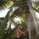 ���������� ������, ���� ������� ������, 38 ���, ������������ ��� ������, ����� � ���������, c�������� ���������