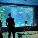 ���������� �����������, ���� ������� ����������, 41 ���, ������������ ��� ������, ����� � ���������