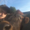 ���������� �����, ���� ������� �������, 53 ����, ������������ ��� ������, ����� � ���������, c�������� ���������