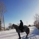  ,   , 25 ,   ,   , c , 