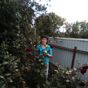  ,   , 38 ,   ,   , c , 