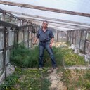 ���������� �����, ���� ������� ���, 43 ����, ������������ ��� ����� � ���������, c�������� ���������