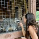 ���������� ������, ���� ������� �����, 31 ���, ������������ ��� ������, ����� � ���������