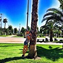 ���������� ������, ���� ������� ����, 30 ���, ������������ ��� ������, ����� � ���������, c�������� ���������