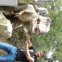 ���������� ������, ���� ������� ������, 31 ���, ������������ ��� ������, ����� � ���������