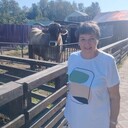 ���������� �����, ���� ������� ���������, 65 ���, ������������ ��� ������, ����� � ���������, c�������� ���������, ���������