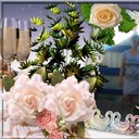  ,   , 51 ,   ,   , c 
