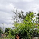  ,   , 59 ,   