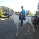 ���������� ������, ���� ������� ��������, 31 ���, ������������ ��� ������, ����� � ���������, c�������� ���������, ���������