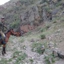 ���������� ������, ���� ������� �����, 37 ���, ������������ ��� ������, ����� � ���������, c�������� ���������