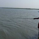 ���������� ����, ���� ������� ����, 44 ����, ������������ ��� c�������� ���������