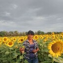  ,   , 46 ,  