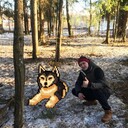 ���������� �����-���������, ���� ������� ��, 26 ���, ������������ ��� c�������� ���������