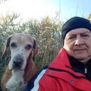 ���������� ������, ���� ������� ����, 57 ���, ������������ ��� ������, ����� � ���������, c�������� ���������