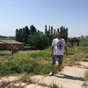  ,   , 47 ,   ,   