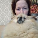 ���������� ������, ���� ������� ���������, 29 ���, ������������ ��� ����� � ���������, c�������� ���������