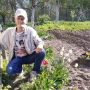 ���������� �����������, ���� ������� ����, 67 ���, ������������ ��� c�������� ���������