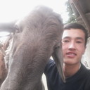 ���������� ������, ���� ������� Amar, 31 ���, ������������ ��� ������, ����� � ���������, c�������� ���������