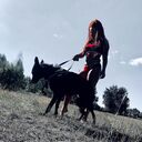 ���������� �������, ���� ������� Catalina, 34 ����, ������������ ��� ������, ���������