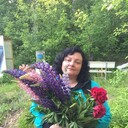 ���������� �����������, ���� ������� �����, 50 ���, ������������ ��� ����� � ���������, c�������� ���������