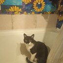 ���������� �����������, ���� ������� ������, 34 ����, ������������ ��� ������, ����� � ���������