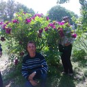  ,   , 51 ,   ,   , c 