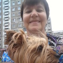 ���������� ������, ���� ������� �������, 65 ���, ������������ ��� ������, ����� � ���������, c�������� ���������