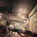 ���������� �����������, ���� ����� Ը���, 20 ���, ������������ ��� ������, ����� � ���������