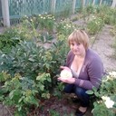 ���������� ������, ���� ������� �����, 31 ���, ������������ ��� ����� � ���������, c�������� ���������