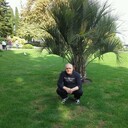 ,   , 67 ,   ,   