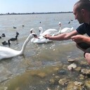 ���������� ���������, ���� ������� �������, 42 ����, ������������ ��� ������, ����� � ���������, c�������� ���������, ���������